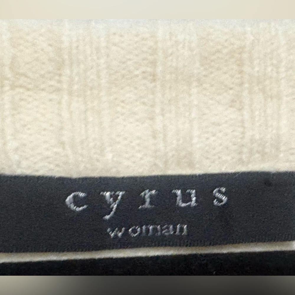 NWT Cyrus Cream and Blue Fair Isle Women's Sweater Size XL/1X - Picture 5 of 7